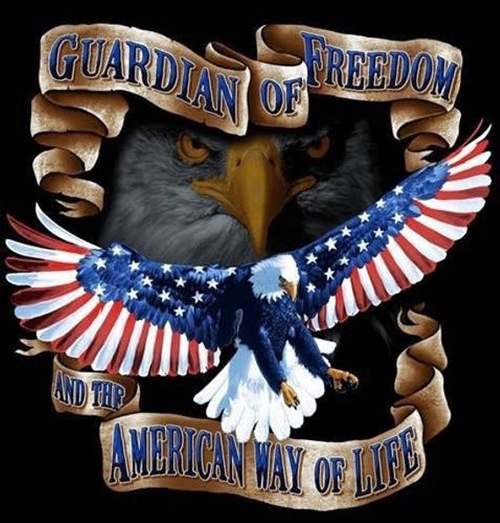 Guardian of Freedom American Way of Life
